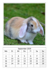 September_Kaninchen_1.pdf